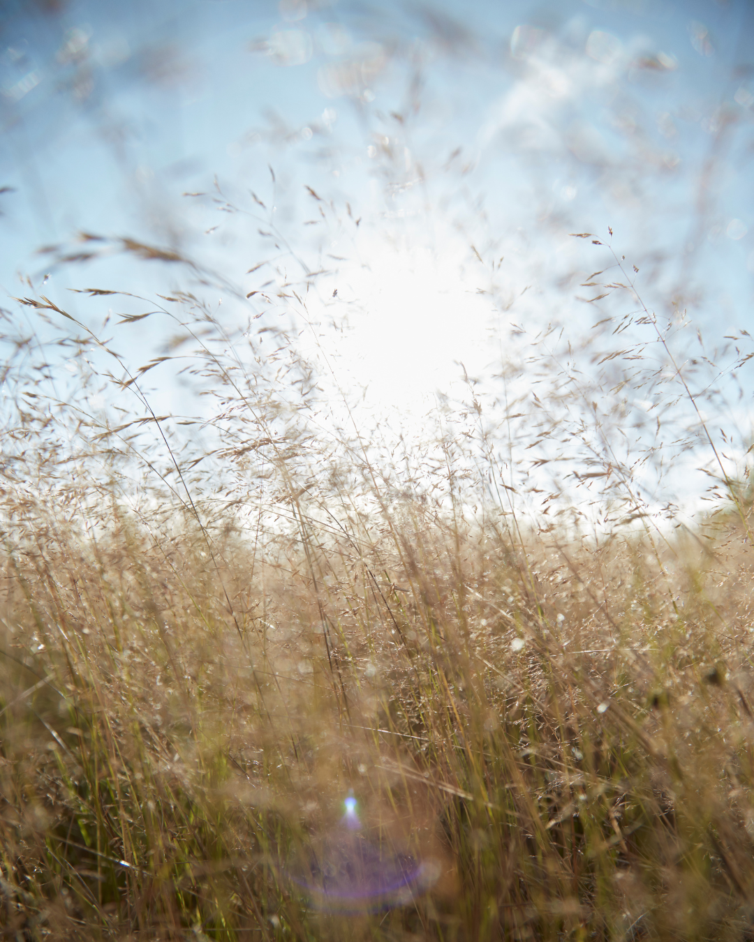 OEKO‑TEX® Standard 100 – din garanti för textilier du kan lita på