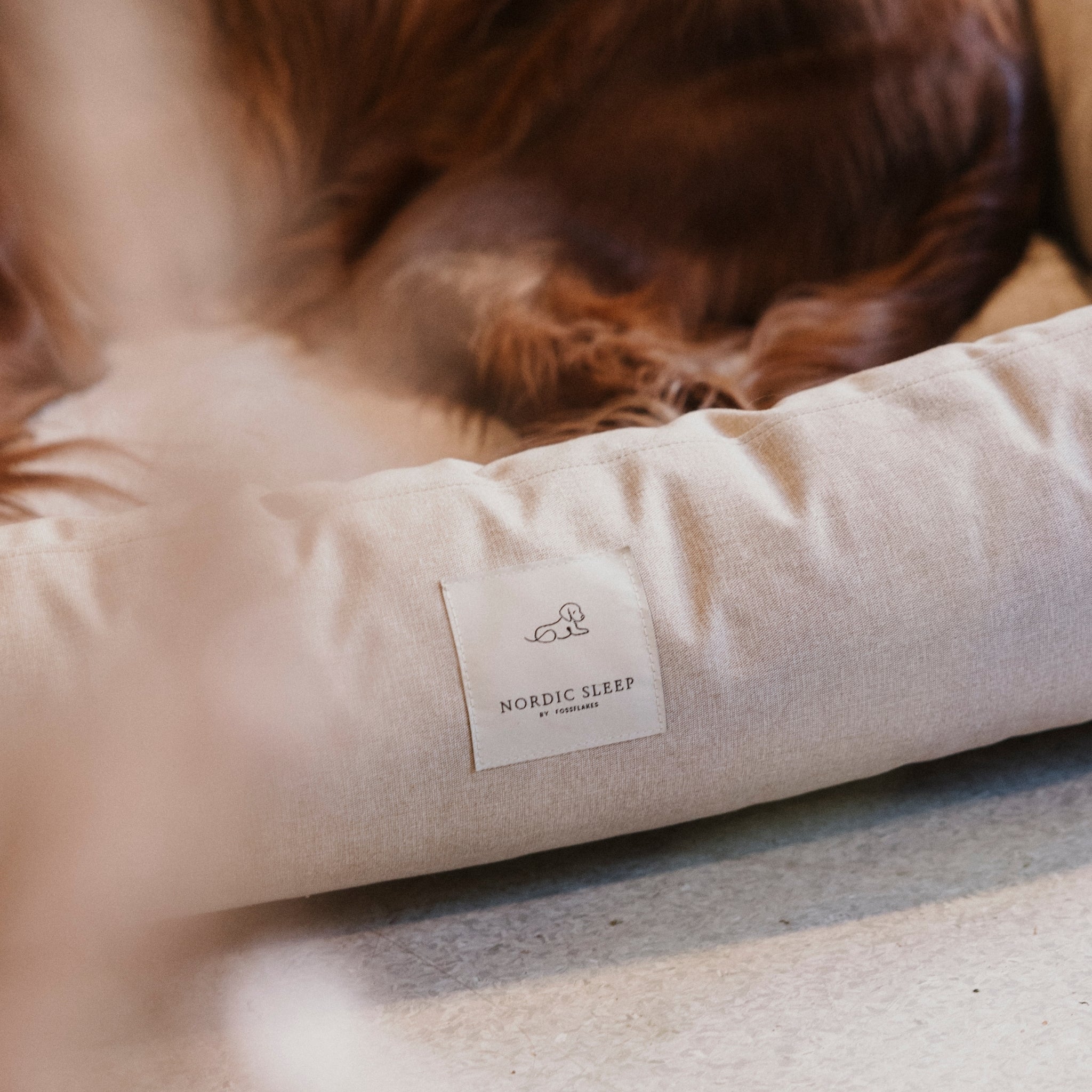 Nordic Sleep x Siccaro hundsäng - Sand/Beige - M